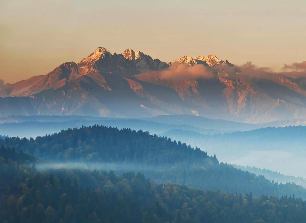 Jak trenować i zarobić?
