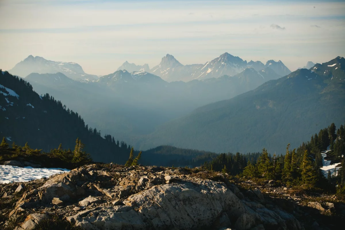 Teraz I Ty Też Możesz zmienić prawo Nawet Jeśli Nie Masz O Tym Zielonego Pojęcia