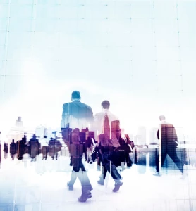 Jak długo musisz kupić para cord?