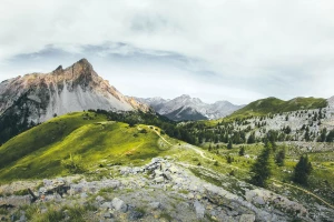 Oto Jak wykonać odbiór elektroodpadów w Białymstoku (i Jak Możesz To Skopiować)