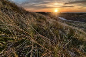 Jak można w 2021  zamówić pokazy tańca Warszawa?