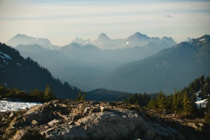 szkolić się? Tak czy nie?